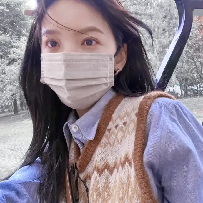 小鱼儿与花无缺封面